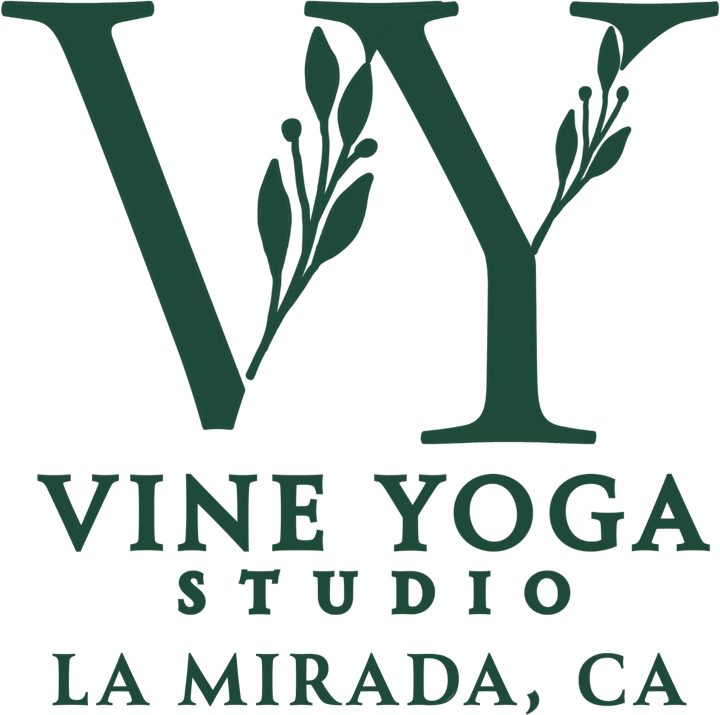 Vine Yoga Studio